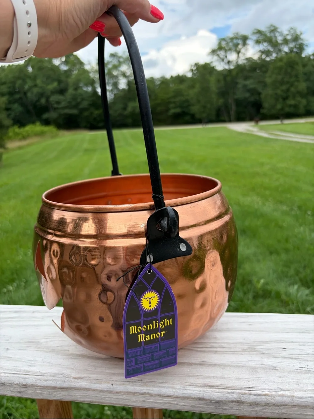 Moonlight Manor 7 x 8in Hammered Metal Copper Color BUCKET JACK O LANTERN NWT